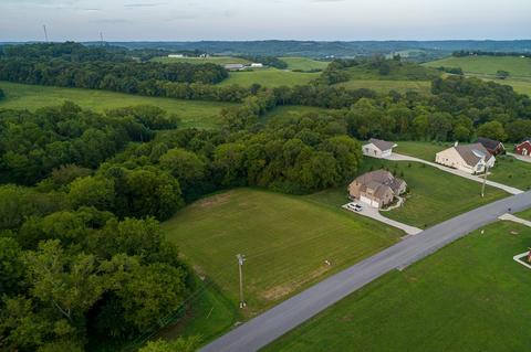 174 Tom Walker Dr, Beechgrove, TN 37018 photo 8
