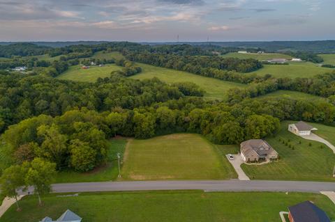 174 Tom Walker Dr, Beechgrove, TN 37018 photo 4