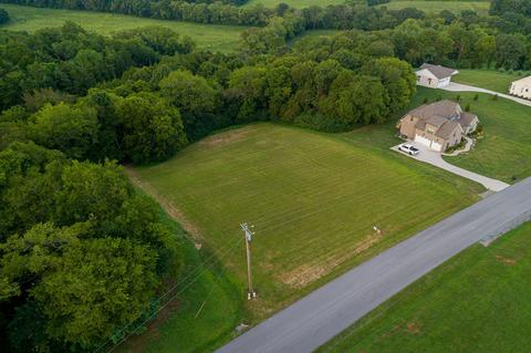 174 Tom Walker Dr, Beechgrove, TN 37018 photo 9