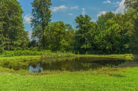 4361 Oregon Rd, Springfield, TN 37172 photo 36