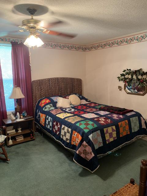 224 Apache Cir, Pulaski, TN 38478 photo 14