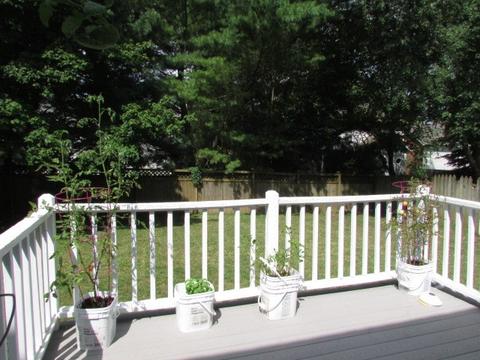 613 Independence Dr E, Franklin, TN 37067 photo 21