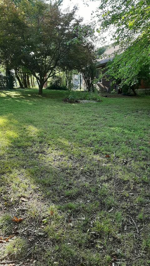 106 Circle Dr, Springfield, TN 37172 photo 23
