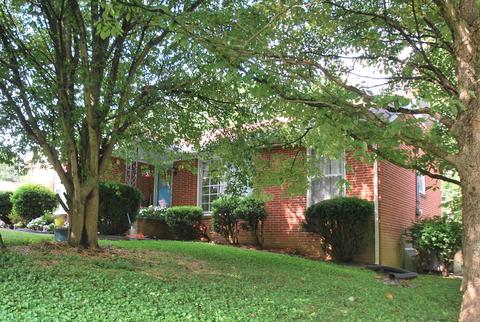 313 Boren St, Springfield, TN 37172 photo 2