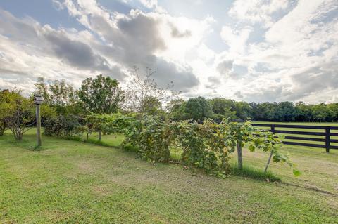 4119 Trinity Rd, Franklin, TN 37067 photo 43