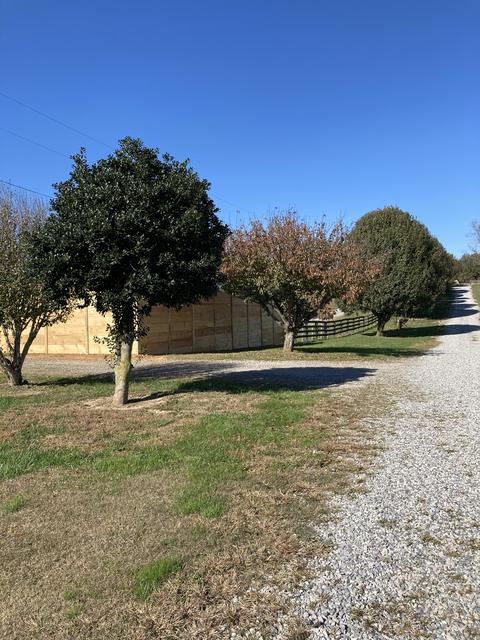 3938 Armstrong Rd, Springfield, TN 37172 photo 41