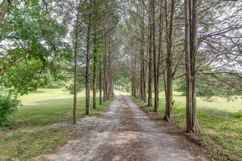 205 Trinity Rd, Franklin, TN 37067 photo 5