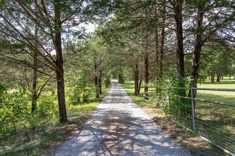 205 Trinity Rd, Franklin, TN 37067 photo 4