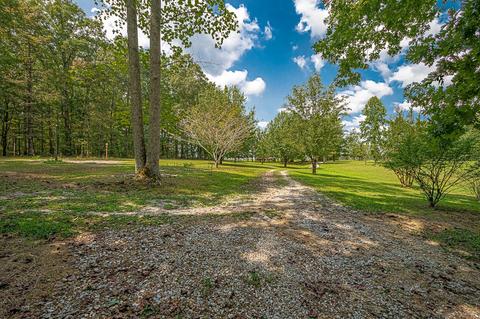 2611 Pleasant Ridge Rd, Goodspring, TN 38460 photo 50