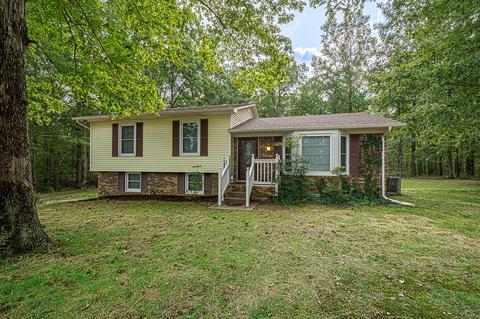 2611 Pleasant Ridge Rd, Goodspring, TN 38460 photo 1