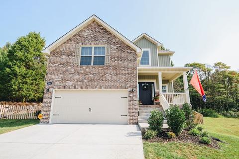 348 Brandywine Ln, Springfield, TN 37172 photo 1