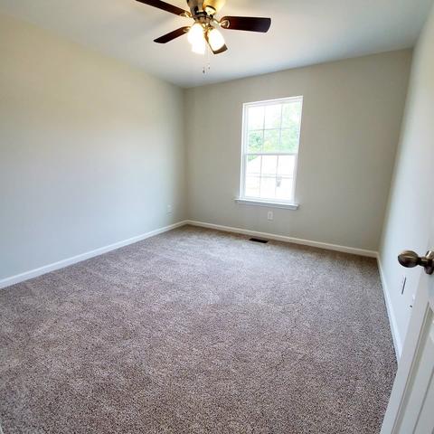 384 Diane Loop, White Bluff, TN 37187 photo 8