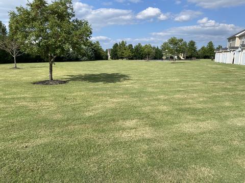 3410 Risen Star Dr, Murfreesboro, TN 37128 photo 21