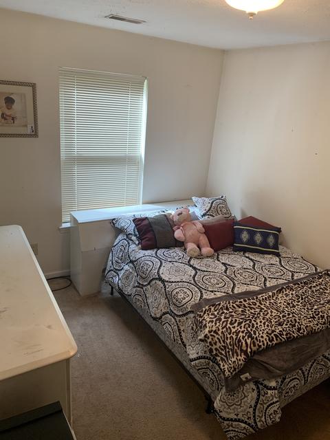 542 E Sevier St, Murfreesboro, TN 37130 photo 15