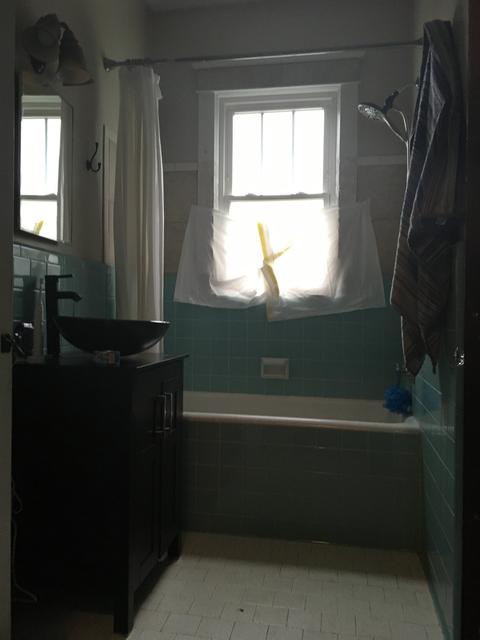 312 Garner St, Springfield, TN 37172 photo 7