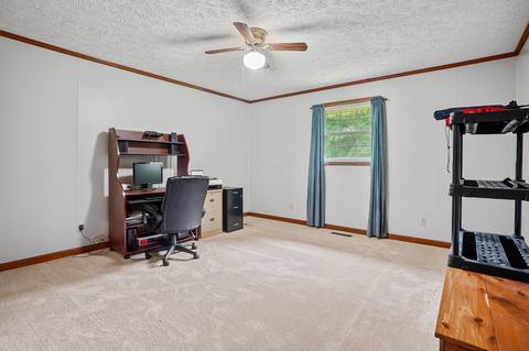 954 Prince Rd, Centerville, TN 37033 photo 16