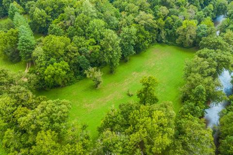 954 Prince Rd, Centerville, TN 37033 photo 38