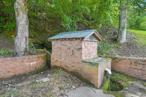 954 Prince Rd, Centerville, TN 37033 photo 27