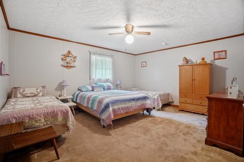 954 Prince Rd, Centerville, TN 37033 photo 21