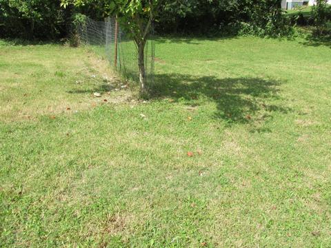 654 E Jefferson St, Pulaski, TN 38478 photo 14