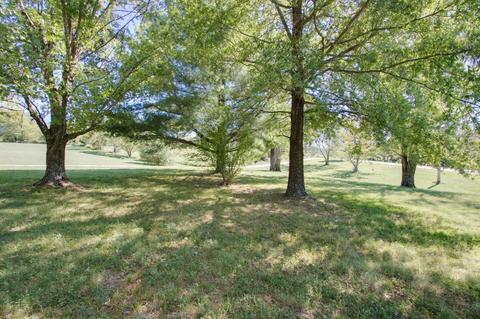 196 Paul Gregory Rd, Bethpage, TN 37022 photo 25