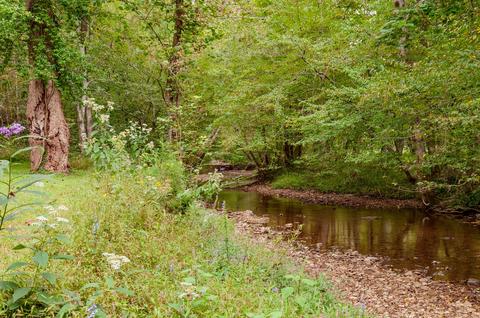 375 Moore Rd, Dickson, TN 37055 photo 37