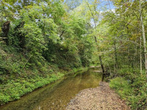 375 Moore Rd, Dickson, TN 37055 photo 38