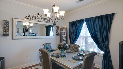 303 Patsy Pl, Smyrna, TN 37167 photo 9
