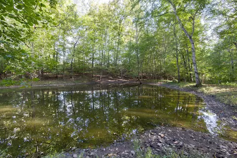 1920 Skyview Dr, Centerville, TN 37033 photo 33