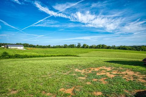 212 Pollard Rd, Walling, TN 38587 photo 10