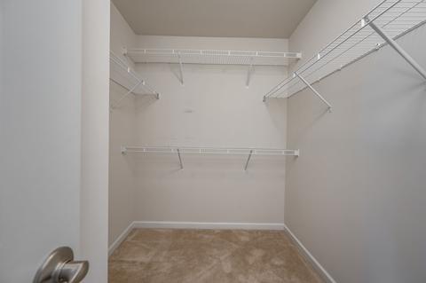 2926 Leipers Fork Trl, Murfreesboro, TN 37128 photo 16