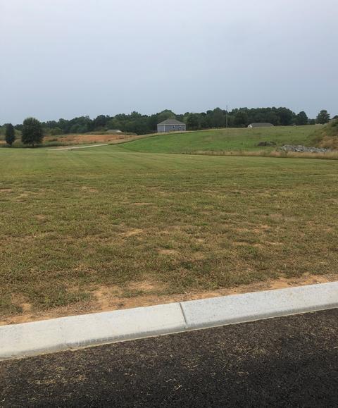 3003 Ora Ln, Spring Hill, TN 37174 photo 17