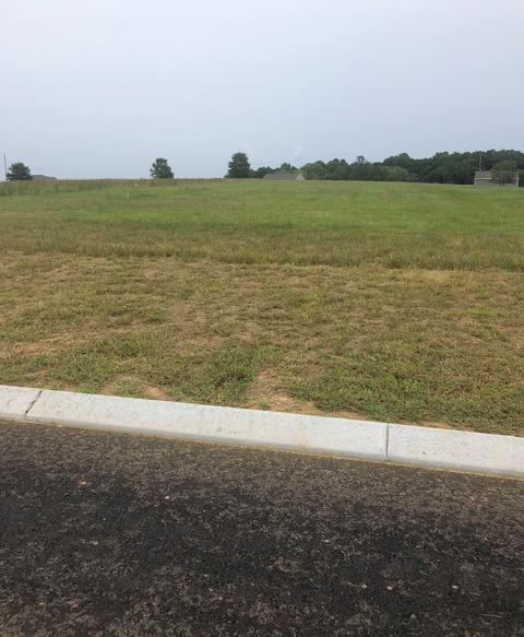 3003 Ora Ln, Spring Hill, TN 37174 photo 7