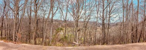 615 Sumac Rd, Pulaski, TN 38478 photo 26