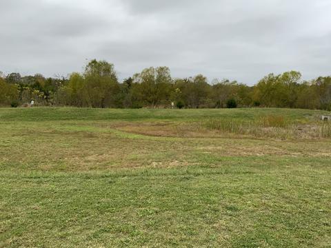 1710 Alysheba Run, Murfreesboro, TN 37128 photo 24