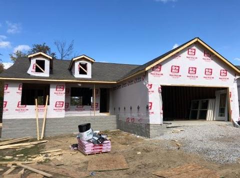 229 Celeste Dr, Baxter, TN 38544 photo 1