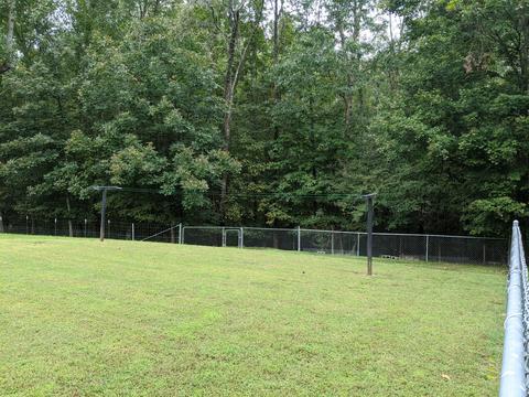 1925 Skyview Dr, Centerville, TN 37033 photo 14