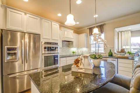3003 Michaleen Dr, Spring Hill, TN 37174 photo 10