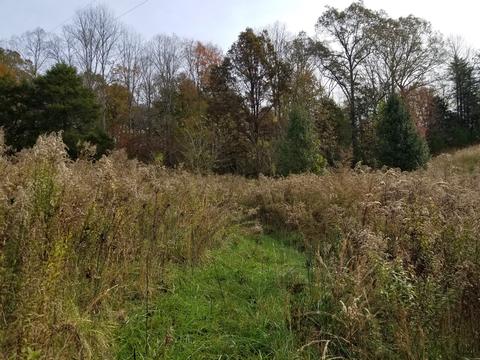 609 Buffalo Rd, Quebeck, TN 38579 photo 11