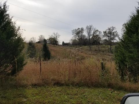 609 Buffalo Rd, Quebeck, TN 38579 photo 6