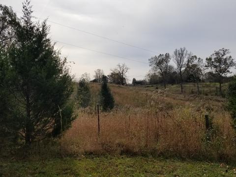 609 Buffalo Rd, Quebeck, TN 38579 photo 7