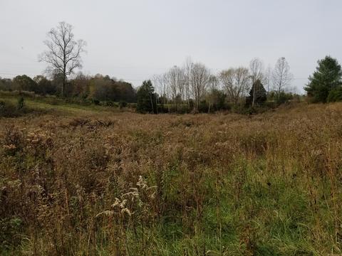 609 Buffalo Rd, Quebeck, TN 38579 photo 10