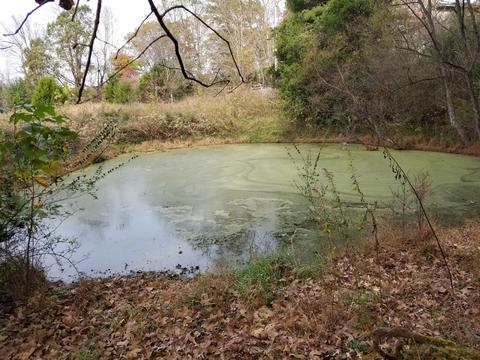 609 Buffalo Rd, Quebeck, TN 38579 photo 12