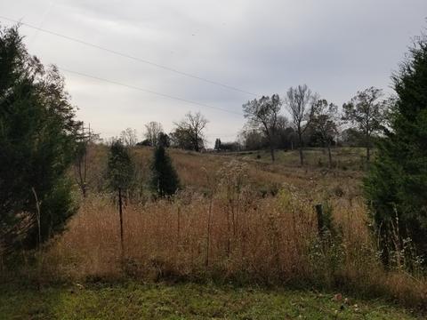 609 Buffalo Rd, Quebeck, TN 38579 photo 8