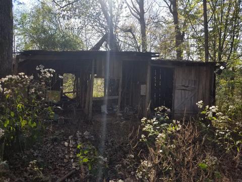 609 Buffalo Rd, Quebeck, TN 38579 photo 16