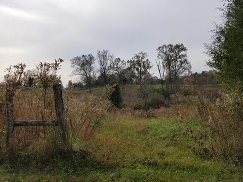 609 Buffalo Rd, Quebeck, TN 38579 photo 9