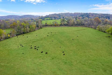 3350 Bailey Rd, Franklin, TN 37064 photo 25