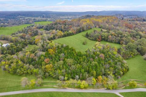 3350 Bailey Rd, Franklin, TN 37064 photo 28