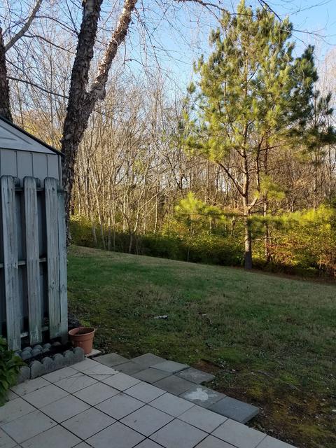 7352 Planters Rd, Fairview, TN 37062 photo 21