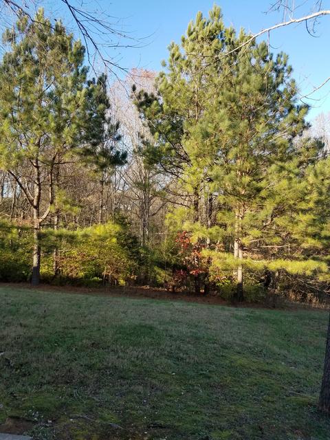 7352 Planters Rd, Fairview, TN 37062 photo 20